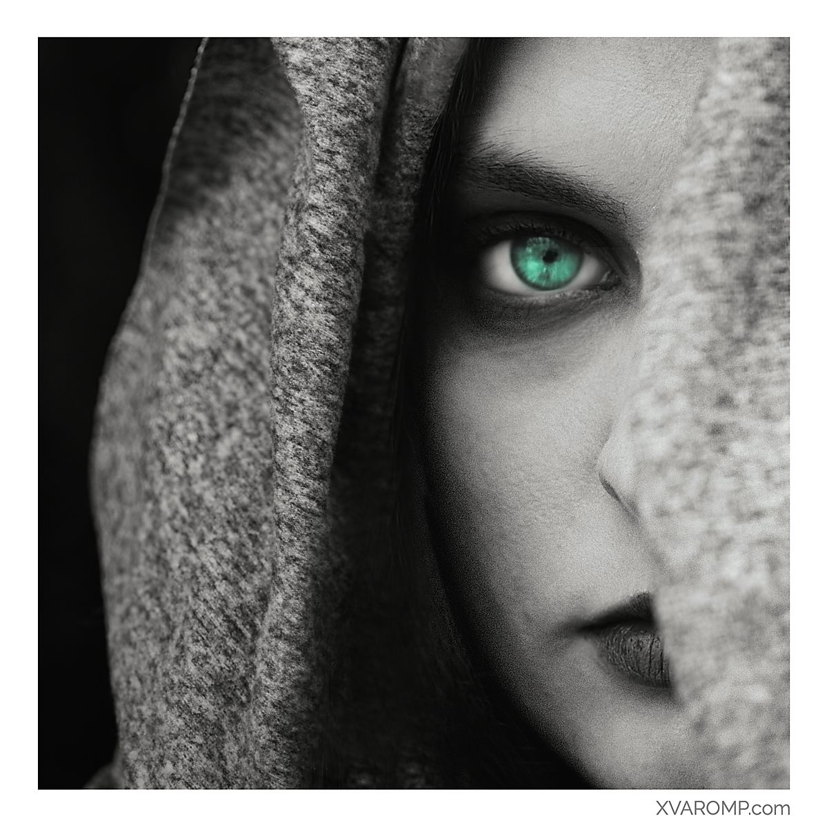 Eyes of the Basilisk